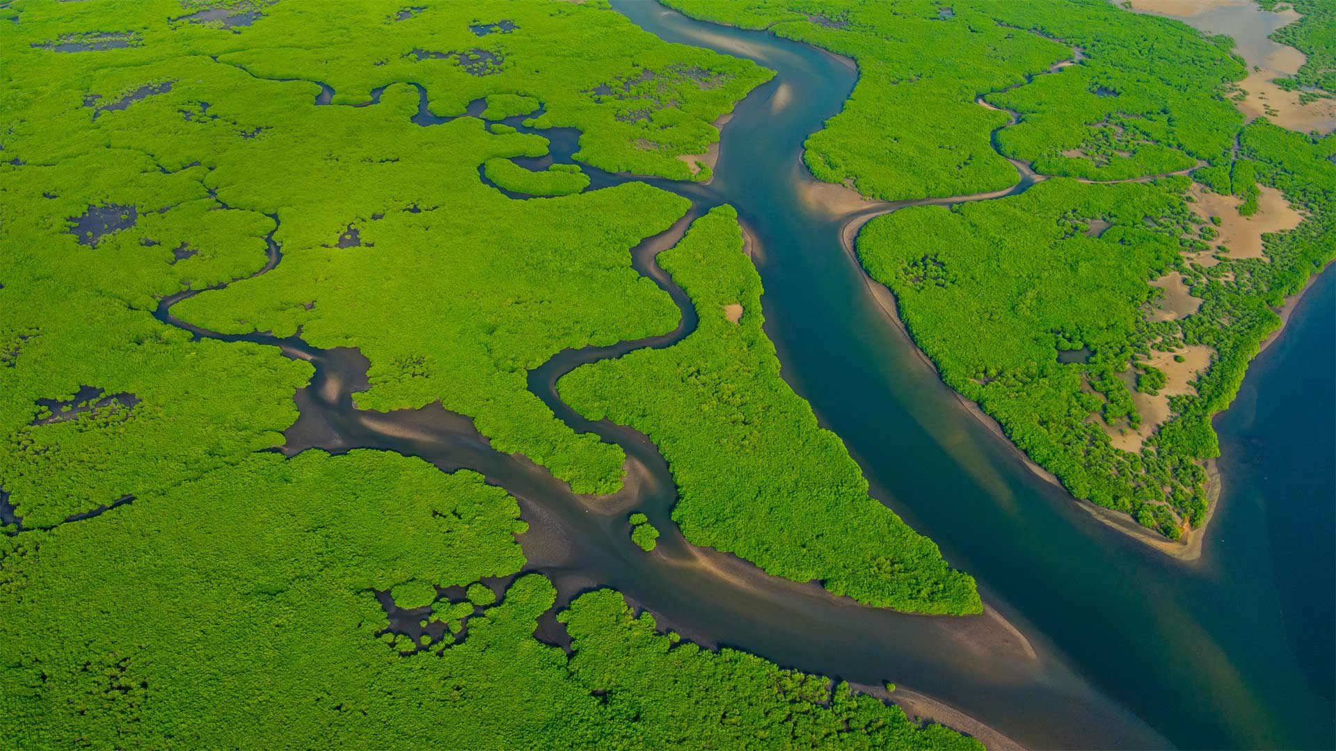 亚马逊河鸟瞰图，巴西 (© Curioso.Photography/Shutterstock)